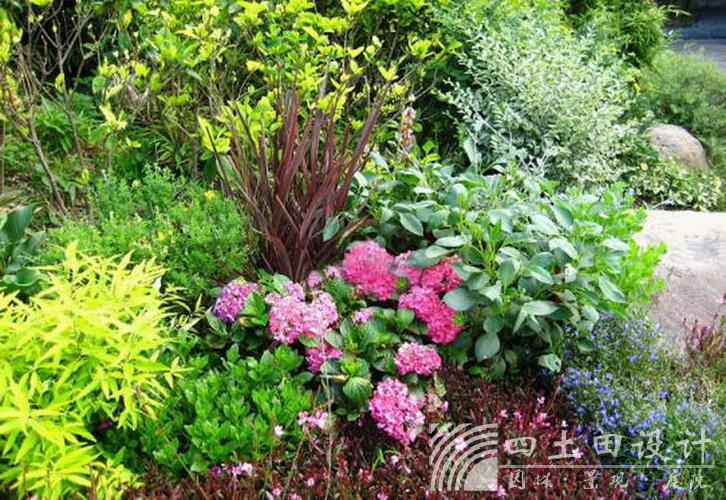 首页- 英国立博ladbrokes公司官网