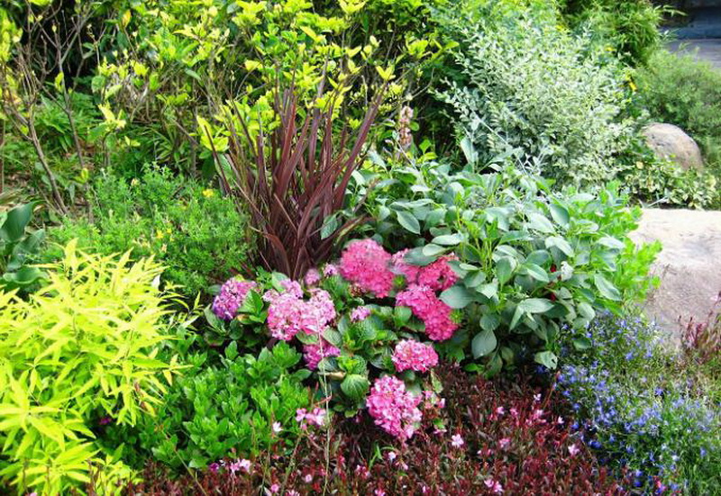 首页- 英国立博ladbrokes公司官网